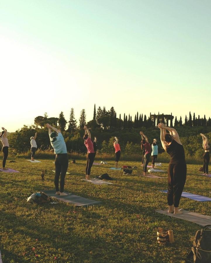 Fattoria Sant'Andrea - Farm Stay San Gimignano Buitenkant foto