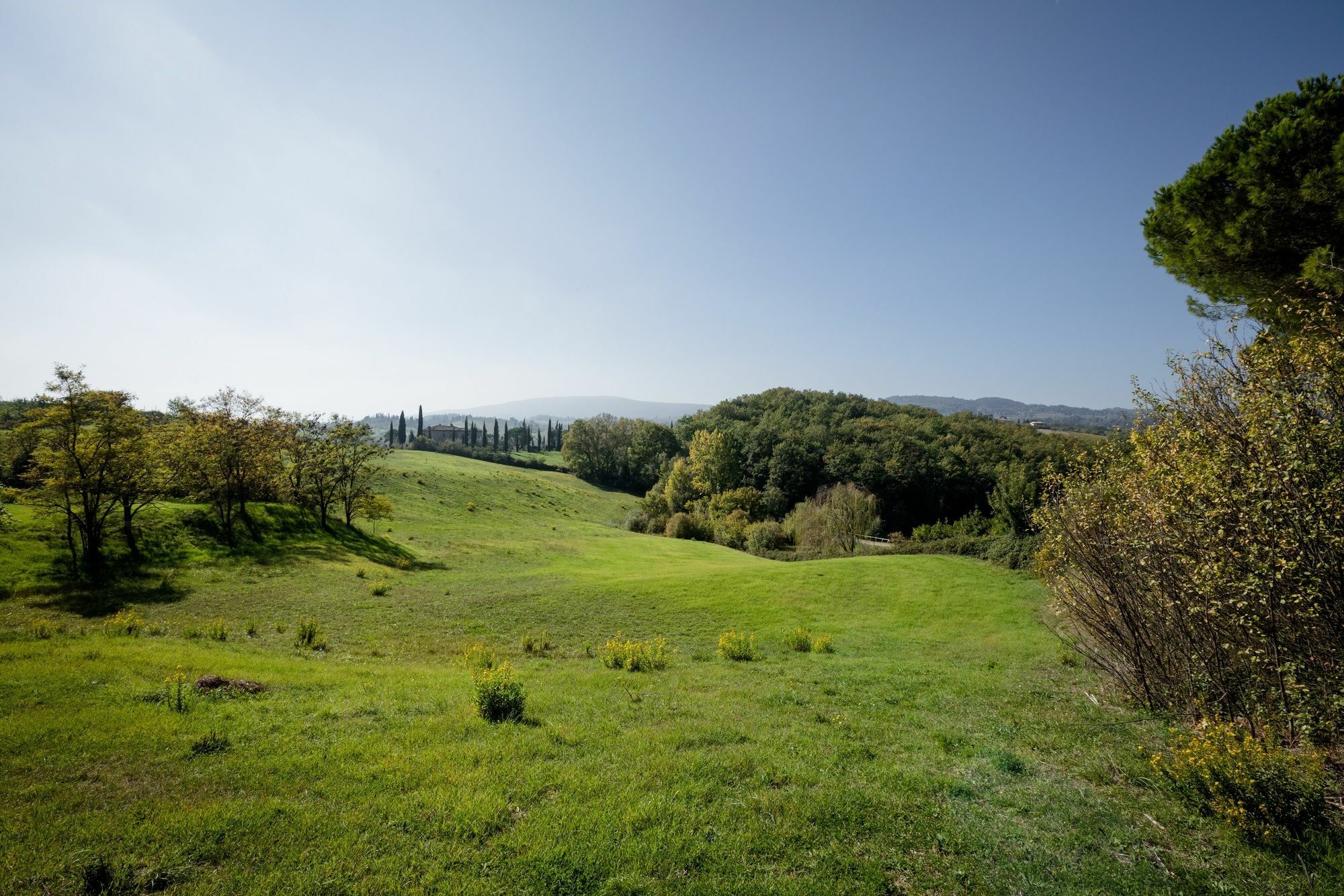 Fattoria Sant'Andrea - Farm Stay San Gimignano Buitenkant foto