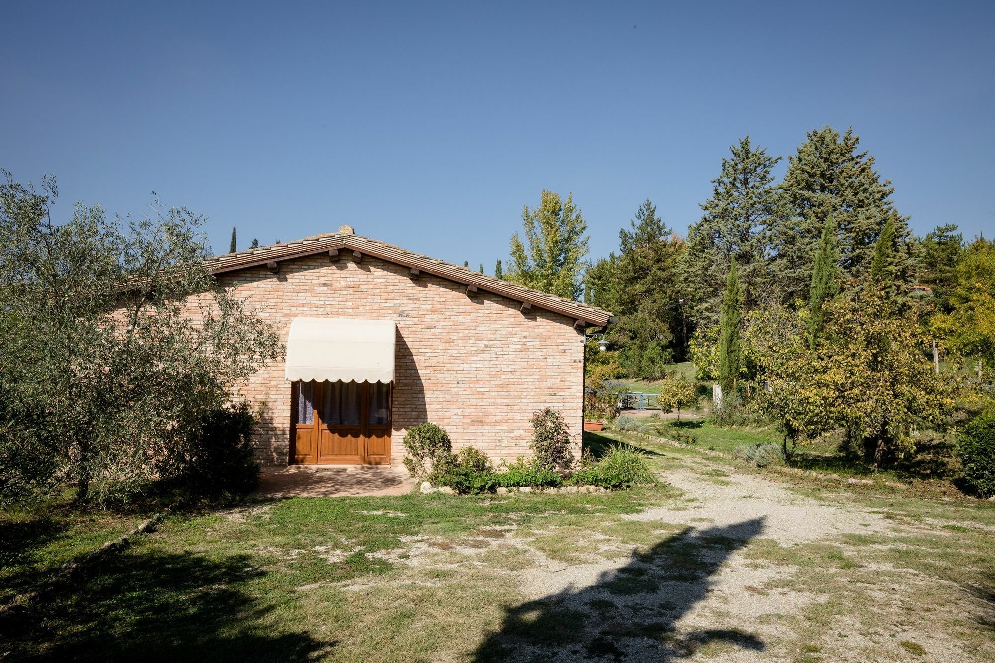 Fattoria Sant'Andrea - Farm Stay San Gimignano Buitenkant foto