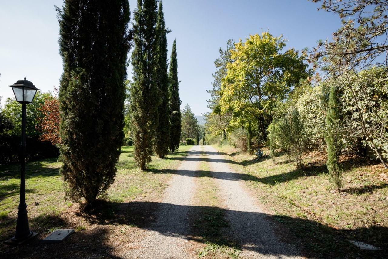 Fattoria Sant'Andrea - Farm Stay San Gimignano Buitenkant foto