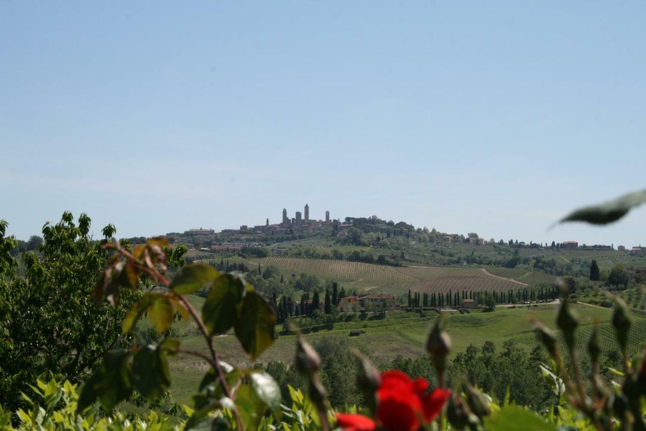 Fattoria Sant'Andrea - Farm Stay San Gimignano Buitenkant foto